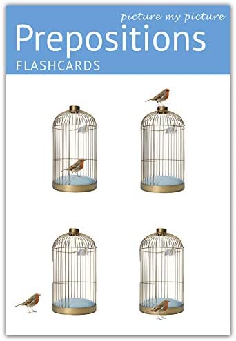 Prepositions Flash Cards | 40 Positional Language Development Educational Photo Cards | Speech Therapy Materials, ESL Materials
