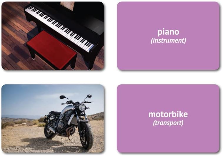 Categories Flash Cards | 40 Language Development Educational Photo Cards | Speech Therapy Materials, ESL Materials