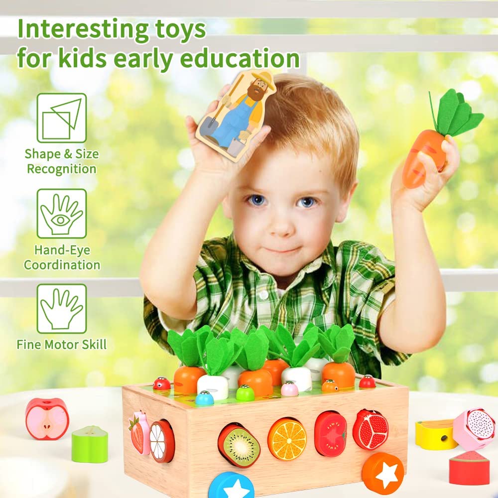 Toys Wooden Educational Learning Toys for 1 2 3 4 Year Old, Toddler Boy Girl Toy Gift Wood Preschool Fine Motor Skills Learning Games