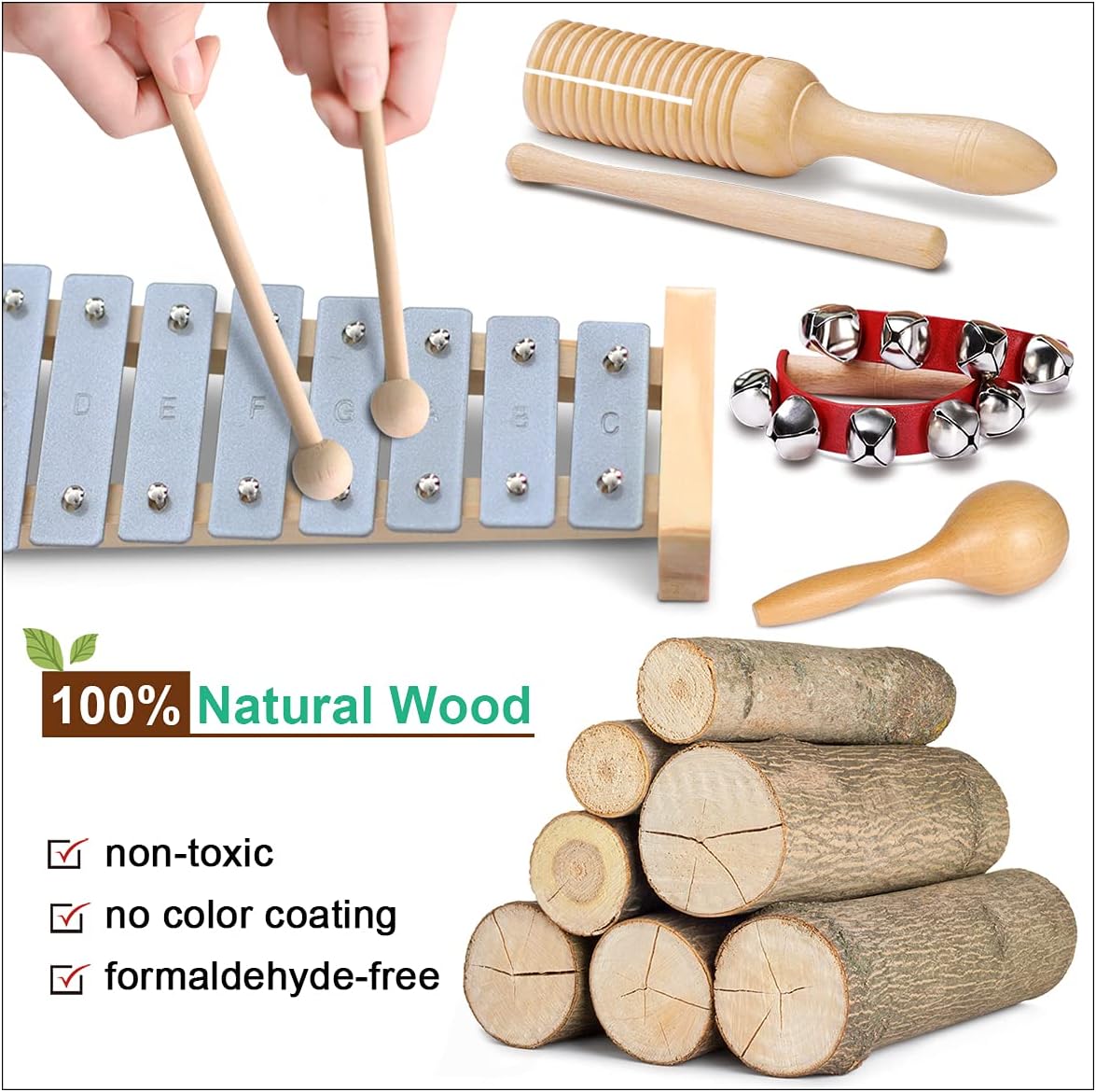 Toddler Musical Instruments International Natural Wooden Music Set for Toddlers and Kids-Eco Friendly Preschool Educational Musical Toys with Storage Bag