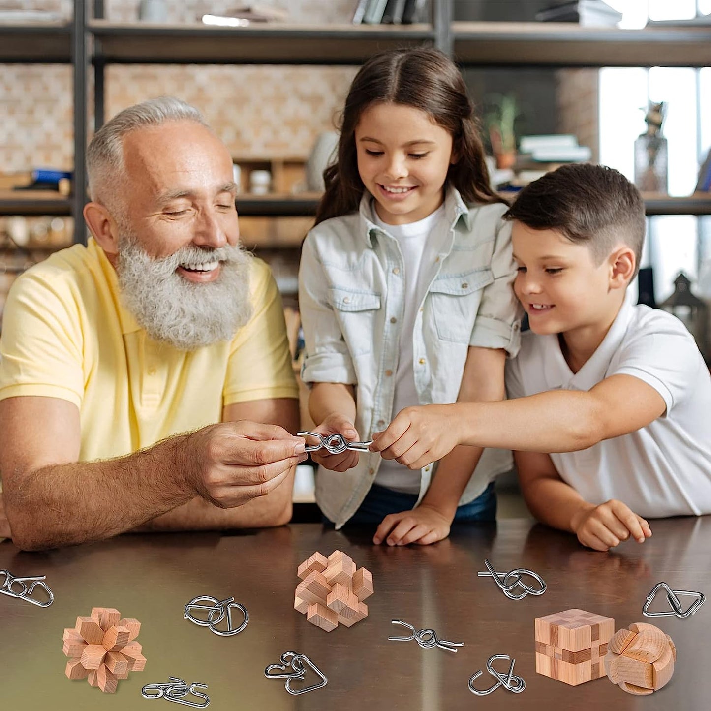 Brain Teasers Metal and Wooden Puzzles for Kids and Adults 12 Pack, Mind, IQ, and Logic Test and Handheld Disentanglement Games, 3D Coil Cast Wire Chain and Durable Wood Educational Toys