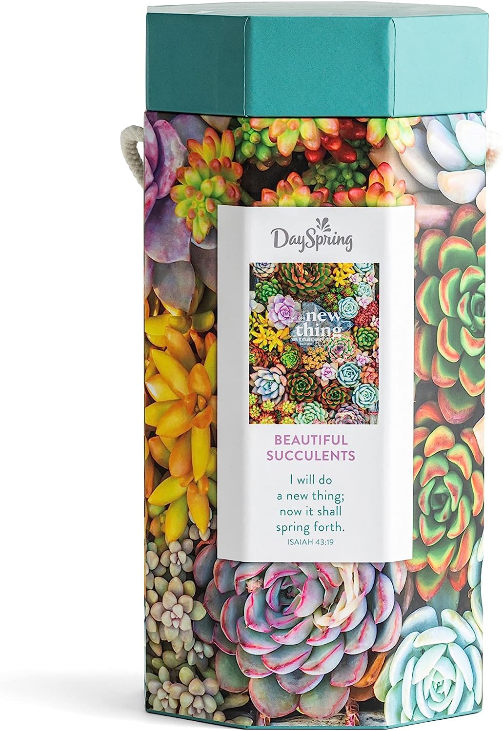Beautiful Succulents -1,000 Piece Inspirational Jigsaw Puzzle for Adults (24 x 30)