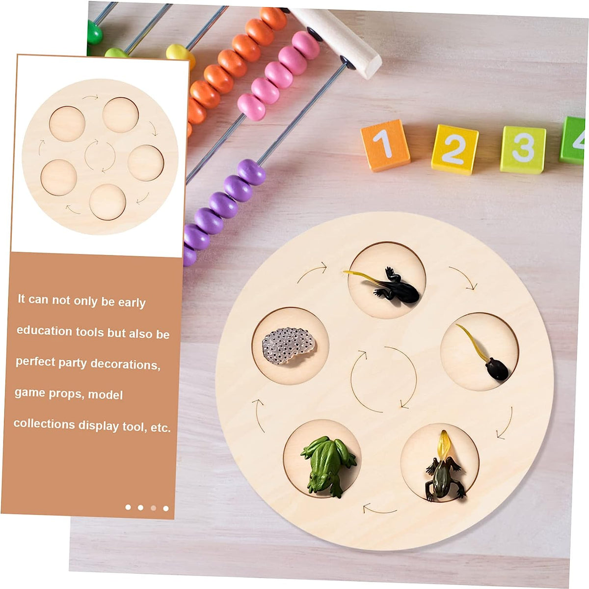 Life Growth Plate Frog Toy Developmental Toys Carpenter Tools Life Cycle Puzzle Growth Model Figure Plate Animal Life Cycle Board Recognition Toy Educational Animal Cycle Plate