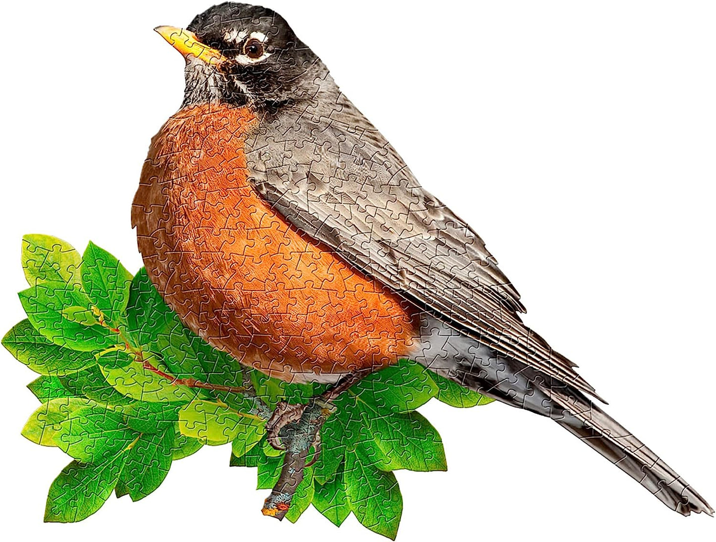 I AM Robin - 300 Piece Jigsaw Puzzle - Bird Shaped Puzzle, 25x19 Finished Size, Includes Fun Fact Sheet
