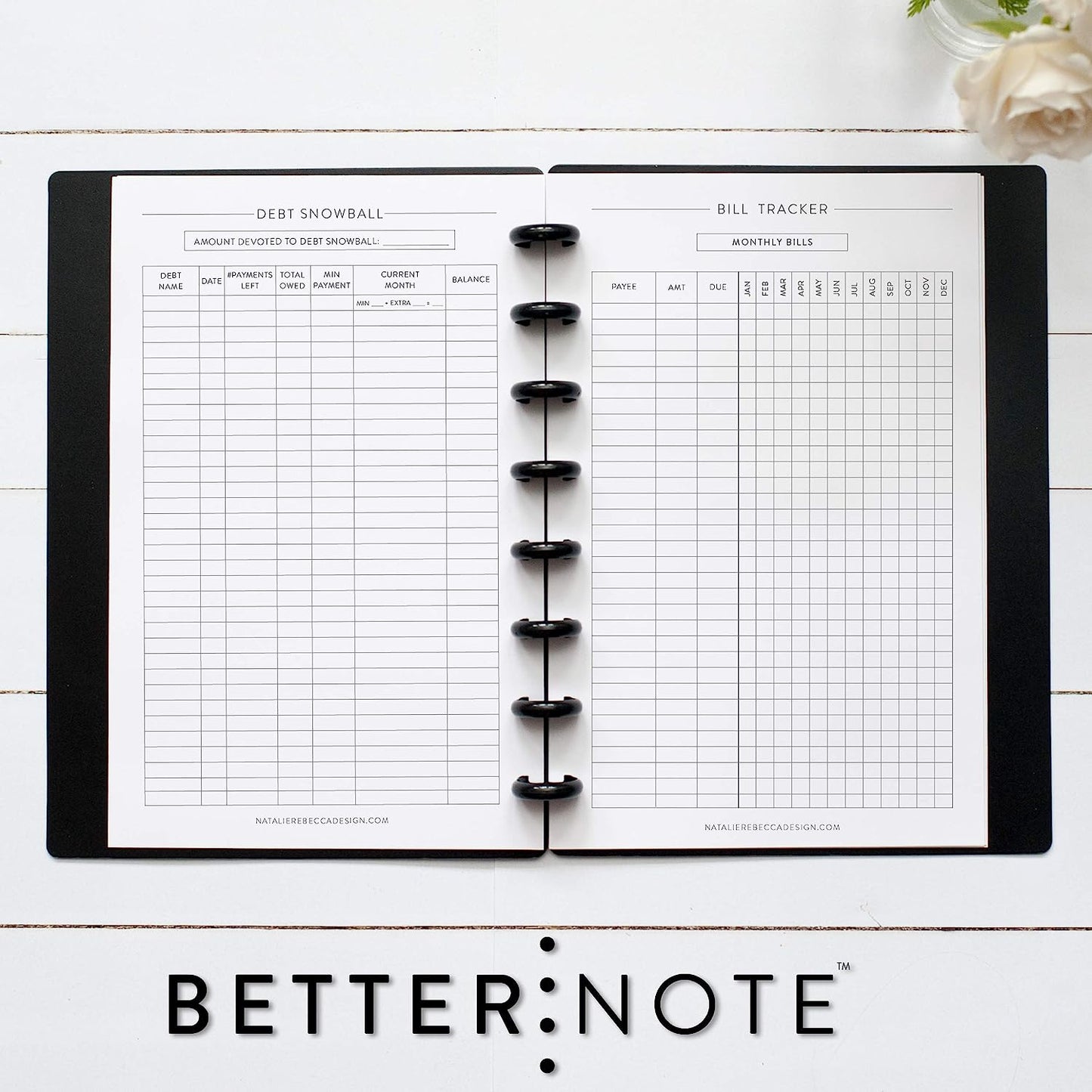 BetterNote Finance Plan Refill for Disc Notebooks, Fits Levenger Circa, The Happy Planner, Arc Systems, 1 Year Supply (8-Disc, 5.5"x8.5")