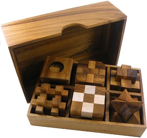 6 Wooden Puzzle Gift Set in A Wood Box - 3D Unique IQ Puzzles