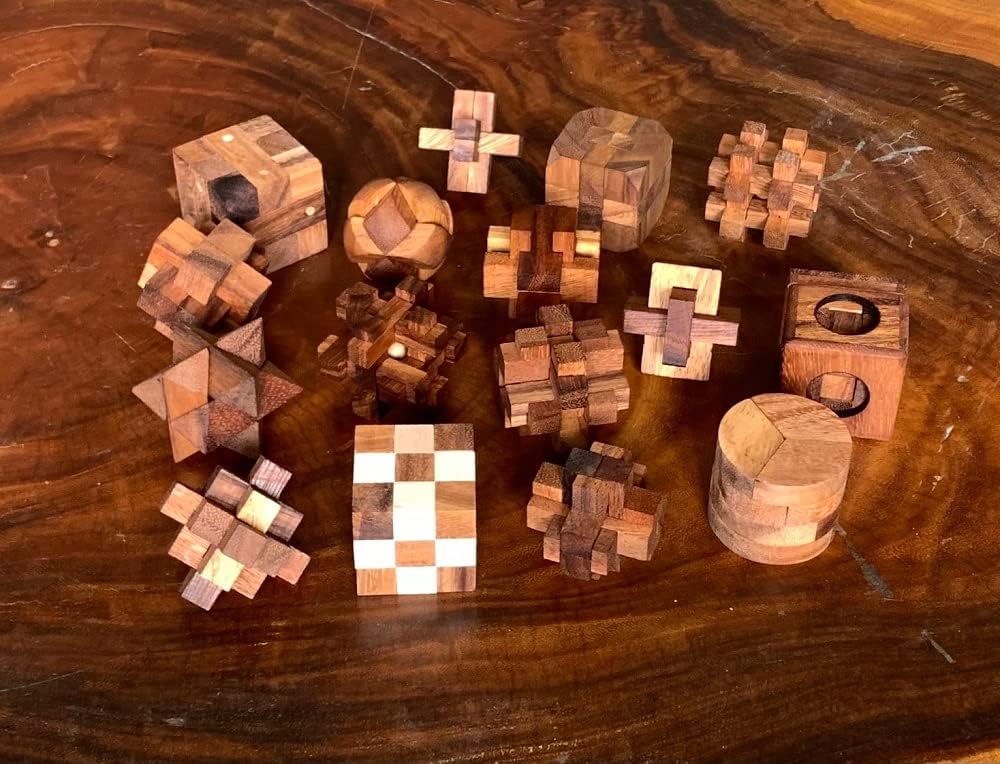 Wooden Puzzle Box Set Educational Games Brain Teasers 3D Wooden Puzzle Brain Teasers, Wooden Game Gift Set Fun Puzzles for Adults (16 Wooden Puzzle)