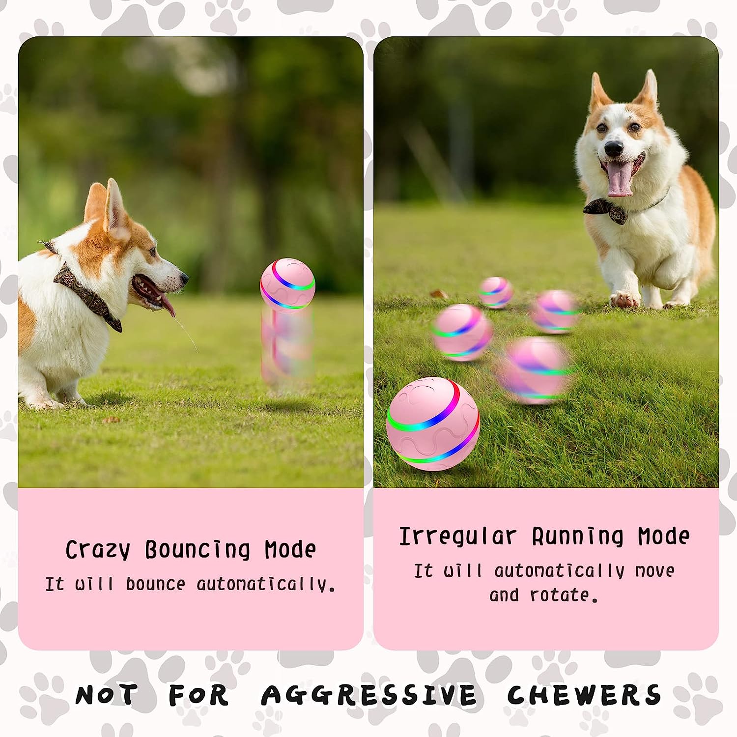 Interactive Dog Ball Toys, Active Rolling Ball for Indoor Dogs/Cats with Motion Activated/USB Rechargeable, Moving Bouncing Ball pet Puzzle Toy
