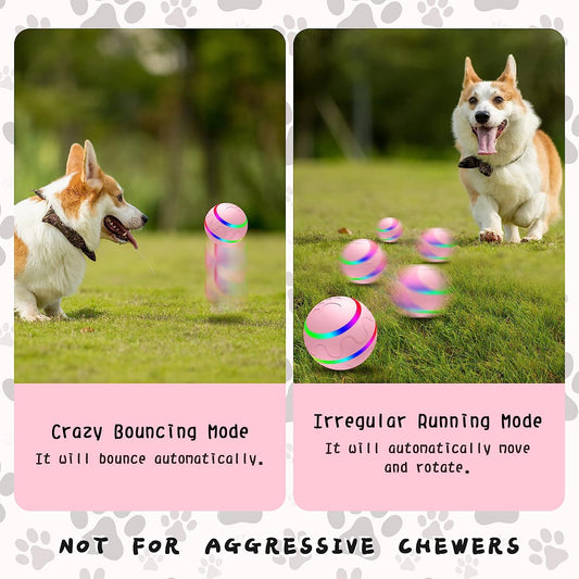 Interactive Dog Ball Toys, Active Rolling Ball for Indoor Dogs/Cats with Motion Activated/USB Rechargeable, Moving Bouncing Ball pet Puzzle Toy