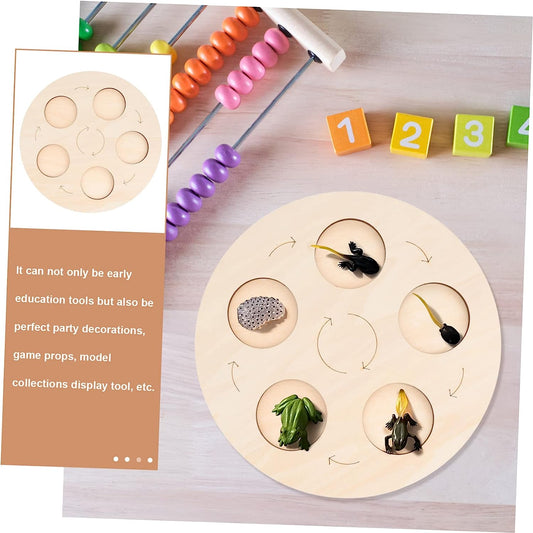 Life Growth Plate Frog Toy Developmental Toys Carpenter Tools Life Cycle Puzzle Growth Model Figure Plate Animal Life Cycle Board Recognition Toy Educational Animal Cycle Plate