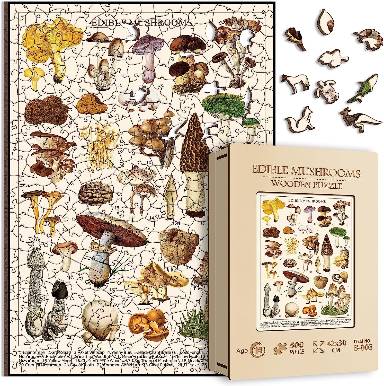 Wooden Vintage Mushroom Puzzle 500 Pieces for Adult, Vintage Fungi Wooden Jigsaw Puzzle of 25 Edible Mushrooms, Champignons Plant Puzzle as Gifts for Mycophile, 15.7 * 11.2 in