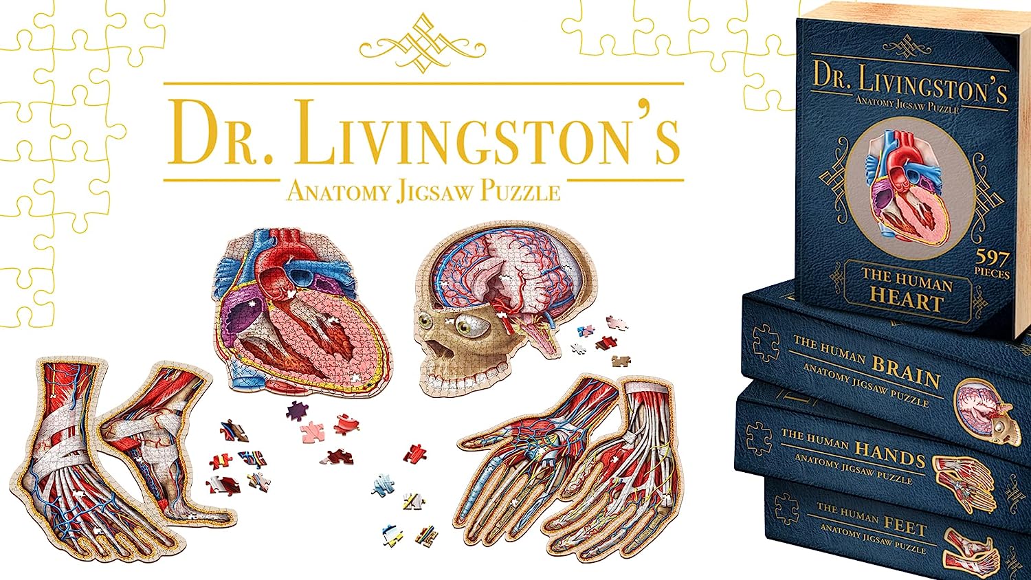 Human Ana Organ Puzzle Bundle - Heart, Brain, Hands, Feet, Eye - Unique Adult Ana Jigsaw Puzzles - Educational Science Puzzles - Medically Accurate Doctor Gifts - Dr. Livingston