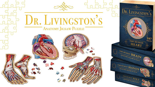 Human Ana Organ Puzzle Bundle - Heart, Brain, Hands, Feet, Eye - Unique Adult Ana Jigsaw Puzzles - Educational Science Puzzles - Medically Accurate Doctor Gifts - Dr. Livingston