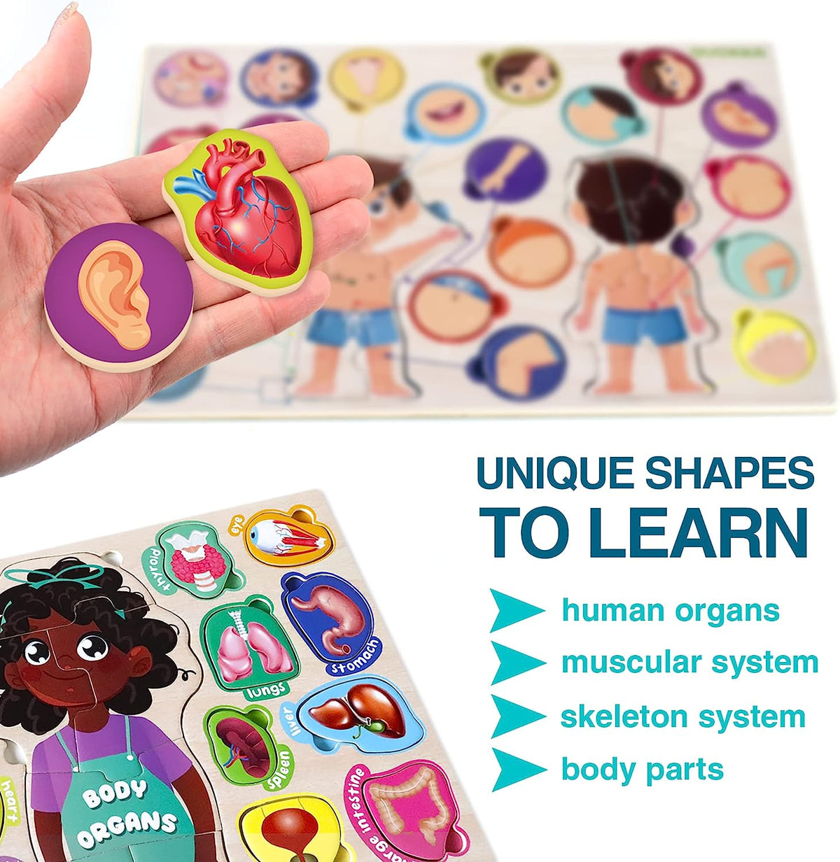 Wooden Puzzles for Kids Ages 3-5 in a Bag – Toddlers Puzzles Ages 2-4 by – Preschool Game to Learn Human Body Parts Ana Skeleton – Educational Toys for Boy & Girl