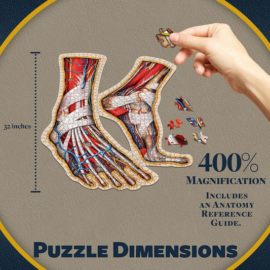 Human Feet Anatomical Floor Puzzle - Unique Adult Ana Jigsaw Puzzles - Medical Toy for Kids - Gifts for Doctors, Nurses, Teen - Educational Science Puzzles - Dr. Livingston